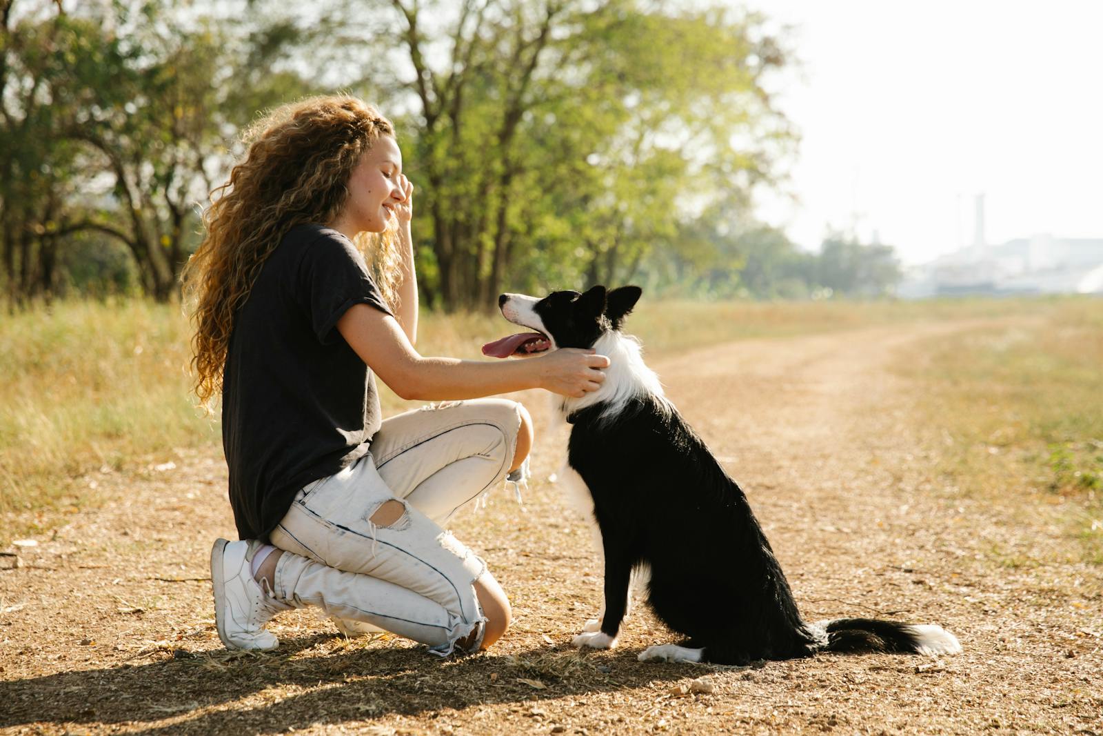 types of dog training